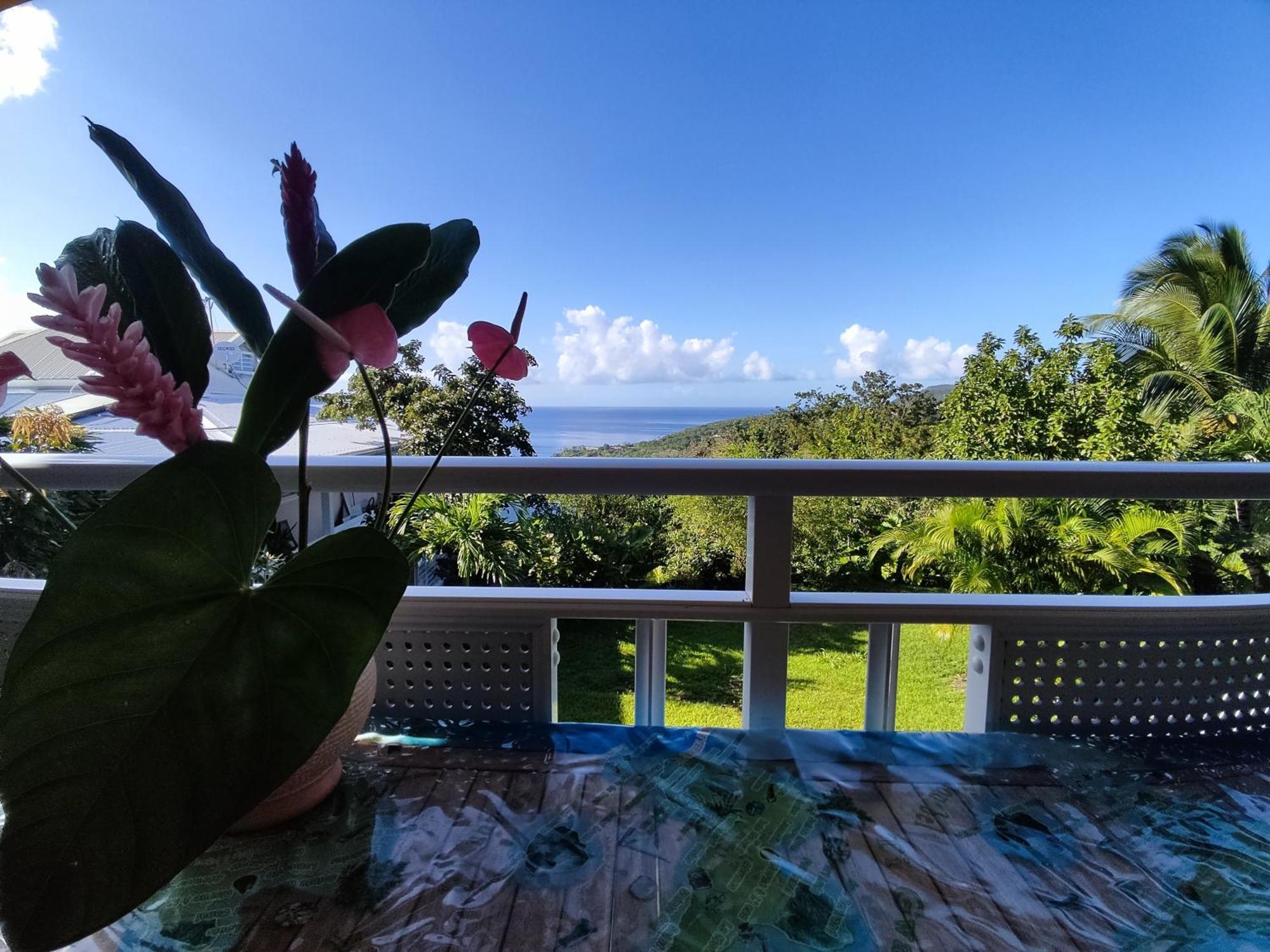 Bungalow With Sea View In Deshaies Buitenkant foto