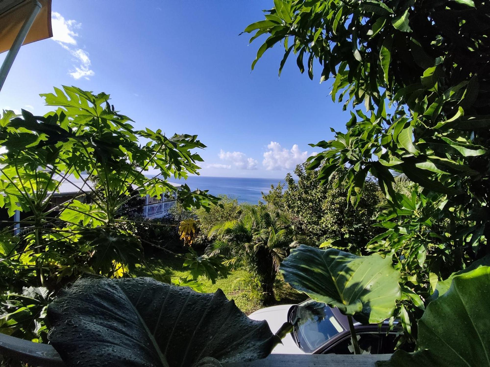 Bungalow With Sea View In Deshaies Kamer foto